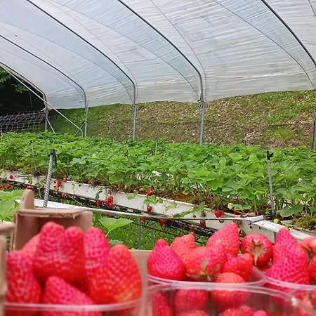 Farm stay Saetta